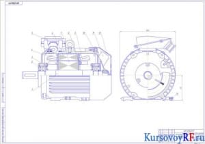 Чертеж  общего вида асинхронного двигателя с короткозамкнутым ротором (формат А1)