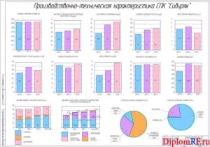Анализ производственной деятельности СПК «Сибиряк» (формат А1)