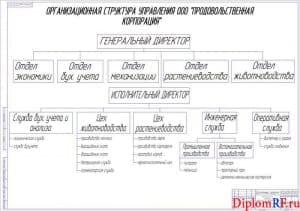 Схема организационная структура управления (формат А1)
