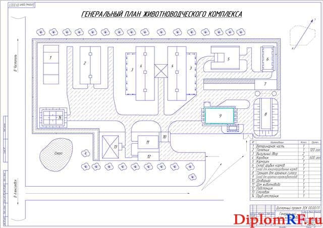Генеральный план свиноводческого комплекса